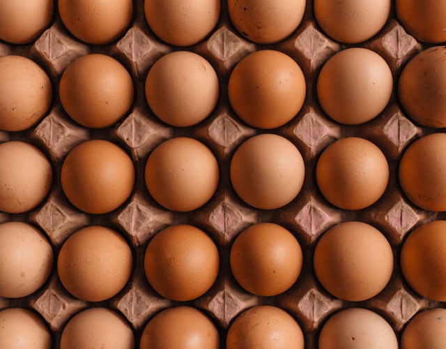 Eggs